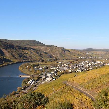 Ferienwohnung Flaemisches Weinhaus ヴィントリッヒ エクステリア 写真