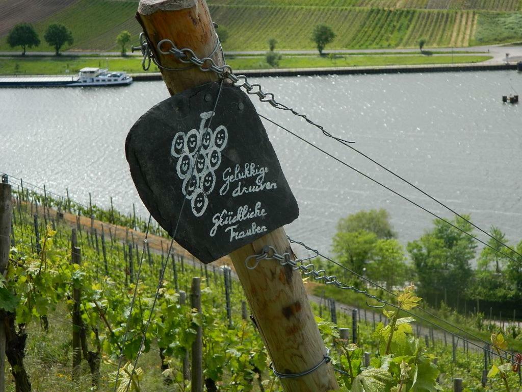 Ferienwohnung Flaemisches Weinhaus ヴィントリッヒ エクステリア 写真